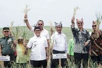 Mentan dan Bupati Banyuwangi panen bawang putih di Banyuwangi Foto: Ardian Fanani/detikcom