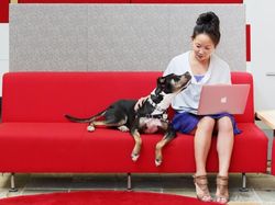 Suasana Kantor YouTube Sebelum Diberondong Peluru