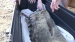 Foto: 3 Bocah Temukan Tulang Rahang Mastodon Umur 100 Ribu Tahun