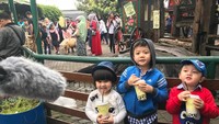 Jalan-jalan ke Bandung, Munel mampir ke taman wisata Farm House dan menikmati segelas susu segar. Lihat senyum manisnya Munel bikin gemas. Kali ini ia liburan bersama dua temannya juga. Foto: Instagram @babymoonella