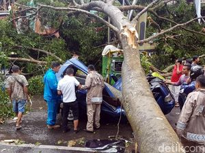 Dramatis, Bripka Lutfi Lolos dari Maut Saat Mobilnya Tertimpa Pohon