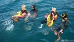 Foto: Serunya Penari Gandrung Banyuwangi Beraksi di Bawah Laut