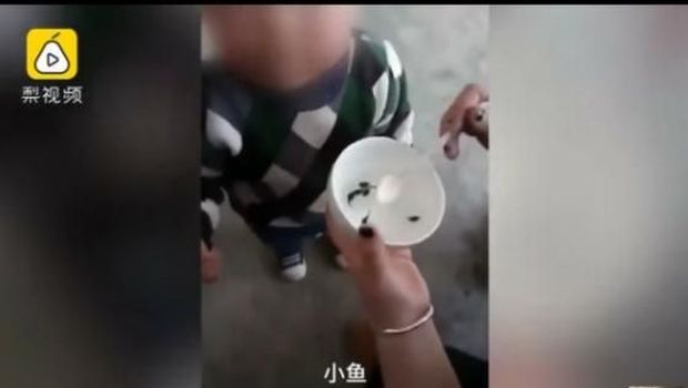 Viral bocah di China disuapi kecebong hidup