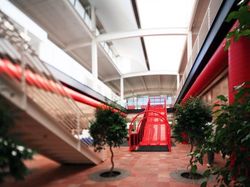 Suasana Kantor YouTube Sebelum Diberondong Peluru