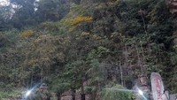 Di sini ada 3 lift yang dapat menampung 50 penumpang di setiap liftnya. Saking uniknya lift ini, bahkan sampai mendapat pengharagaan dari Guinness World Records sebagai lift outdoor tertinggi di dunia (danfort10/Instagram)
