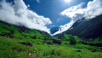 Lembah ini berada sebelah barat Pegunungan Himalaya dengan luas taman nasional mencapai 87,5 Km persegi. Taman Nasional ini berjarak sekitar 9,5 jam perjalanan darat dari Kota Dehradun, ibukota Provinsi Uttarakhand di India. (Thinkstock)