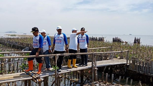 Komunitas menanam mangrove
