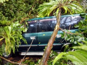 Bruk! 13 Pohon Tumbang di Kota Sukabumi, Arus Lalin Dialihkan