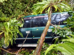 Hujan Angin, Pohon Bertumbangan Timpa Mobil di Kota Sukabumi