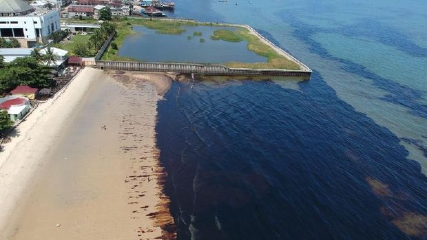 Montara Sampai Karawang 3 Kasus Tumpahan Minyak Di Laut Ri