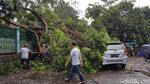 Begini Dahsyatnya Badai di Sukabumi yang Tumbangkan Belasan Pohon