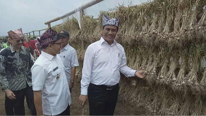 Mentan Optimis Bawang Putih Banyuwangi Bisa Tekan Impor