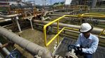 Barito Pacific Akuisisi Star Energy