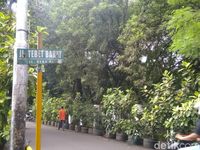 Lokasi parkir mobil Ratna Sarumpaet sebelum diderek petugas Dishub DKI.