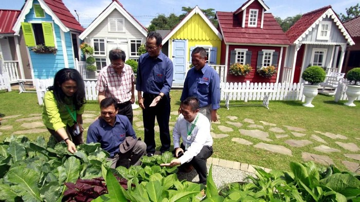Ewindo meluncurkan Urban Farming Center sebagai sarana untuk transfer teknologi guna memanfaatkan lahan terbatas di perkotaan, termasuk teknik verticulture, hydroponic, dan dutch bucket. Potensi pertanian perkotaan di Indonesia masih sangat besar dimana dari 10,3 juta hektare lahan pekarangan yang belum dimanfaatkan, lebih dari 30 persen ada di perkotaan.