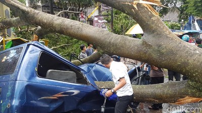Begini Dahsyatnya Badai di Sukabumi yang Tumbangkan Belasan Pohon