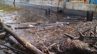 Hingga hari kelima pasca terjadi terjadinya kebakaran pipa minyak bawah air di perairan Teluk Balikpapan, PT Pertamina masih terus melakukan penanggulangan pencemaran minyak agar tidak semakin meluas. ANTARA FOTO/Sheravim.