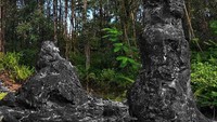 Di sini memang sudah dibuat trek untuk traveler yang berwisata (snagskitty/Instagram)