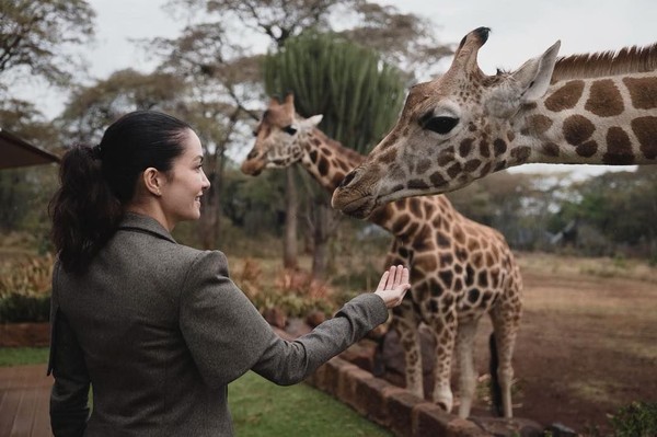 Salah satu aktivitas yang tidak dilewatkan oleh Nadya di Kenya adalah bertemu langsung dengan jerapah di habitat aslinya. Gemas dan anggun sekali! (nadyahutagalung/Instagram) Salah satu aktivitas yang tidak dilewatkan oleh Nadya di Kenya adalah bertemu langsung dengan jerapah di habitat aslinya. Gemas dan anggun sekali! (nadyahutagalung/Instagram)