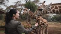 Salah satu aktivitas yang tidak dilewatkan oleh Nadya di Kenya adalah bertemu langsung dengan jerapah di habitat aslinya. Gemas dan anggun sekali! (nadyahutagalung/Instagram)