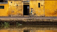 Kenapa kuning menjadi yang khas dari Kota Tua Hoi An? Ada banyak teori mengapa begitu banyak bangunan di sini dicat kuning. Ada yang percaya bahwa kuning di banguan Kota Tua Hoi An melambangkan royalti, yang lain percaya itu untuk alasan praktis karena warna kuning akan menyerap lebih sedikit panas ataupun cahaya (Rehahn/BBC Travel)