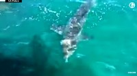 Polisi sedang mengecek registrasi, izin, dan keamanan perahu pemancing termasuk tes alkohol dan narkoba saat mereka dikunjungi warga lokal, tulis polisi Australia Selatan di akun media sosial mereka.  (Foto: Dok. South Australia Police/via The Guardian)