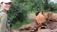 Pada kesempatan itu, Nadya membuat sebuah film dokumenter tentang gajah di Afrika. Sudah cantik, mulia juga niat Nadya (nadyahutagalung/Instagram)