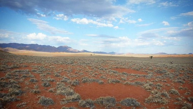 BUMN RI Diajak Bikin Pelabuhan hingga Rel Kereta di Namibia
