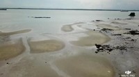 Foto tumpahan minyak di Teluk Balikpapan ini diambil dari drone pada Rabu (4/4). Polisi menyatakan minyak tumpah di perairan karena pipa milik Pertamina yang patah. (Foto: Imeida Tandrin/via REUTERS)