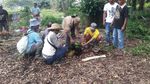 Kisah Harimau Sumatera yang Tewaskan 2 Warga Riau Dibukukan