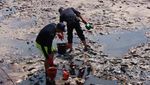 Foto: Penampakan Pesut Mati Gara-gara Minyak di Teluk Balikpapan
