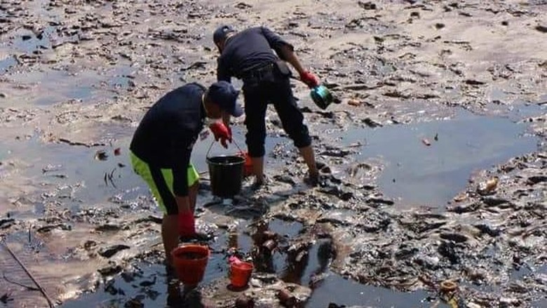 Teluk Balikpapan Tercemar, ESDM: Kita Lihat Siapa yang Salah Teluk Balikpapan Tercemar, ESDM: Kita Lihat Siapa yang Salah