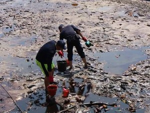 Teluk Balikpapan Tercemar, ESDM: Kita Lihat Siapa yang Salah