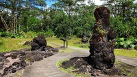 Lava Tree State Monument atau Lava Tree State Park berlokasi sekitar 4,3 km sebelah tenggara Pahoa, Distrik Puna, Hawaii, AS (oltka/Instagram)