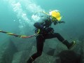 Kabel Laut Bertambah, Harga Internet RI Bisa Makin Murah?