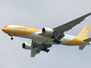 Scoot, Anak Usaha Singapore Airlines Mau Buka Rute di RI