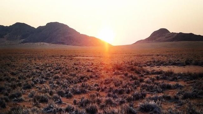 BUMN RI Diajak Bikin Pelabuhan hingga Rel Kereta di Namibia