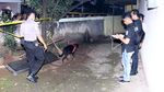 Anjing Pelacak Dikerahkan untuk Endus Jejak Pelaku Penyanderaan