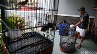 Herry mendapatkan referensi dari mana-mana. Termasuk dari perjalanan saat kejuaraan di China.