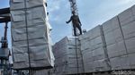 Sebagian Bongkar Muat di Priok Mau Dialihkan ke Cilegon