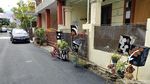 Foto: Kampung Unik di Bandung, Cantik Berhias Barang Antik