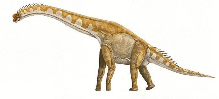 10 Dinosaurus Terbesar Sepanjang Sejarah