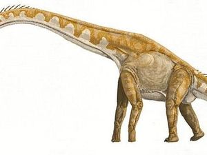 Ternyata Ini Salah Satu Dinosaurus Terbesar di Bumi, Beratnya 9 Kali Lipat Gajah