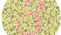 Kalau yang ini angka 8. Kalau kamu melihat 3 kemungkinan kamu buta warna merah, sementara kalau tidak melihat apa-apa kemungkinan kamu buta warna total. (Foto: colormax.org)