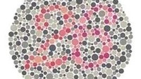 Ada angka 26. Orang yang buta warna merah mungkin hanya melihat 6 sementara orang buta warna hijau hanya melihat 2. (Foto: colormax.org)