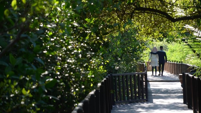 Duh Masih Banyak Pengunjung Mesum Di Wisata Mangrove Wonorejo