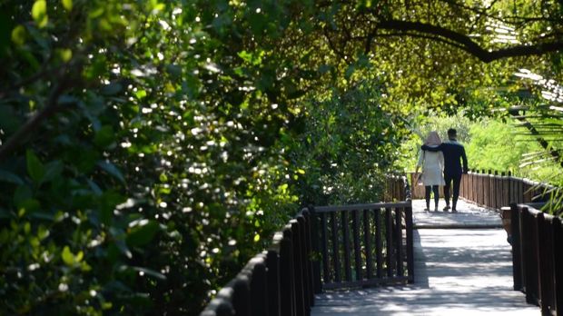 wisata mangrove wonorejo