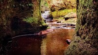 Keunikan Finnich Glen terdapat pada air yang mengalir di antara jurang ini, warnanya semerah darah. Karena warna tersebut, jurang ini juga disebut sebagai Devils Pulpit atau mimbar iblis. Kok seram ya? (mwhite_0/Instagram)