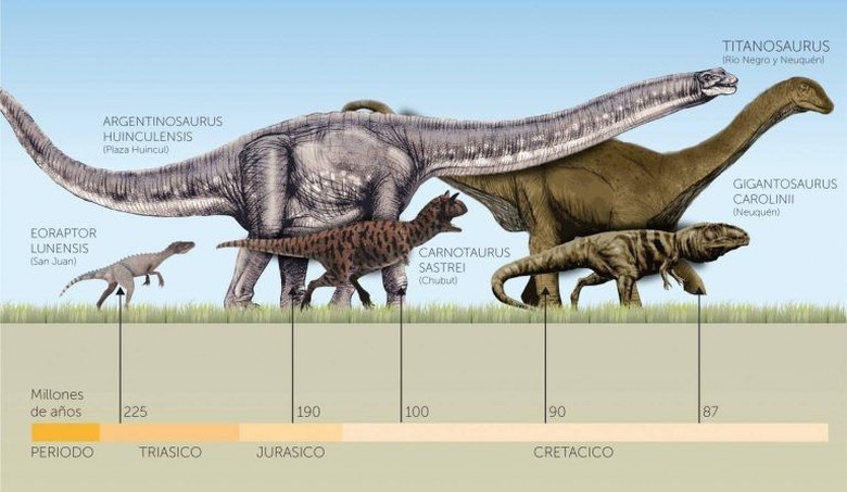10 Dinosaurus Terbesar Sepanjang Sejarah Foto 10