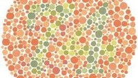 Angka dalam gambar ini adalah 74. Kalau kamu melihat 21 kemungkinan kamu buta warna merah dan hijau. (Foto: colormax.org)